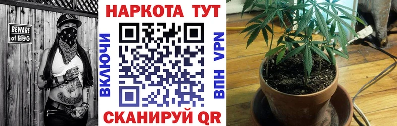 ГАШИШ Курильск