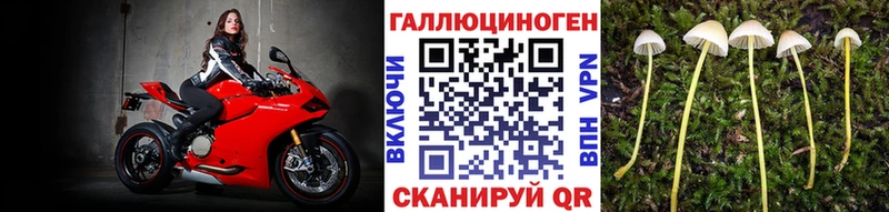 маркетплейс официальный сайт  mega вход  Псилоцибиновые грибы Cubensis  Курильск  продажа наркотиков 